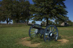 There are two cannons at this stop on the tour which are across the ...