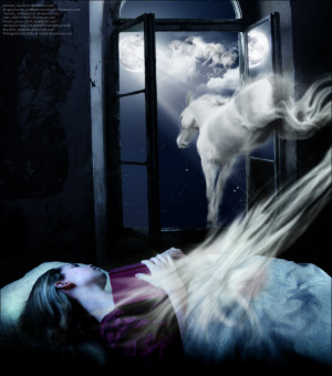 To run with wild horses by Dordo