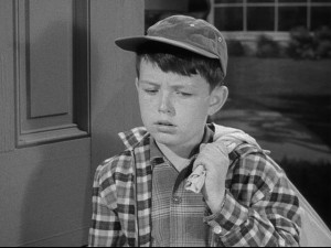 Job Beaver Bad Day Boarding