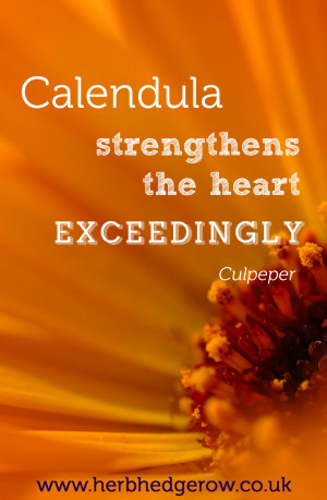 Herbal Quote Calendula Culpeper
