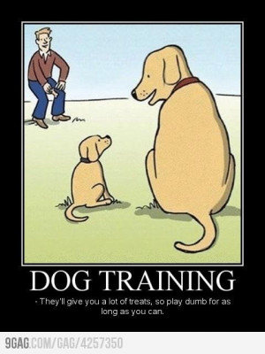 funny dog training cartoon comic