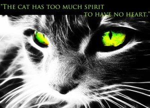 The cat has too much spirit to have no heart.