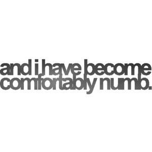 Comfortably+Numb+Quotes | Comfortably Numb lyrics - Polyvore