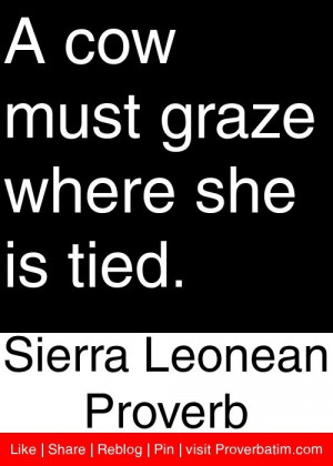 ... graze where she is tied. - Sierra Leonean Proverb #proverbs #quotes