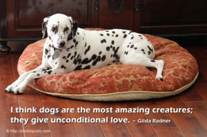 Sayings, Quotes: Gilda Radner