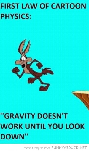 cartoon physics gravity works look down wile e coyote tv funny pics ...