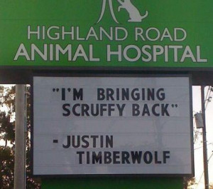 Vet With a Great Sense of Humor