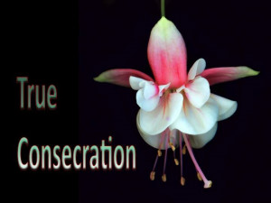 Audio clip: Adobe Flash Player (version 9 or above) is required to ...