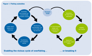 It is more fish not vessel subsidies which will support EU fisheries