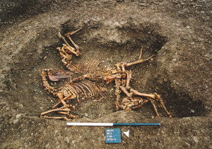 Sacrificial Double Horse