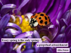 Every spring is the only spring - a perpetual astonishment. - Ellis ...