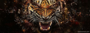 tiger, with a very fierce face, roaring at your profile in this ...