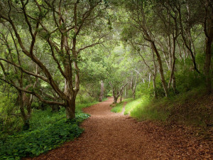 Hermosos Wallpapers De Paisajes