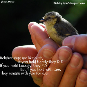 on birds bird by bird quotes caged bird quotes the thorn birds quotes ...