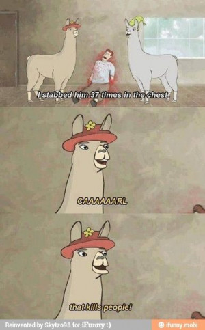 this! Carl That Kill People, Funny Llamas, Funny Stuff, Llamas ...