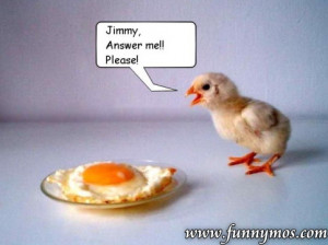 chicken soup funny joke cartoon funny joke pictures