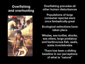 How do we know this (see Jackson et al. 2001 )?