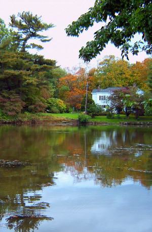 Autumn Lake Reflection Fall