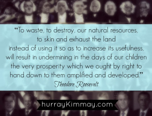 Teddy Roosevelt Quotes Presidential quotes