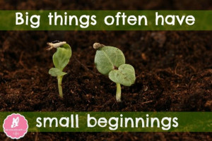 Big Things Often Have Small Beginnings