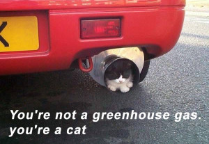 You’re not a greenhouse gas, you’re a cat