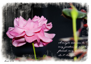 Thank you for being a friend….