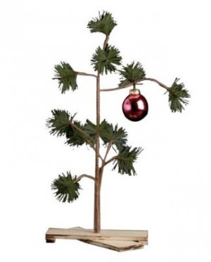 charlie brown its called the charlie brown christmas tree charlie ...