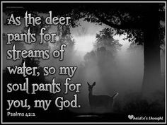 As the deer pants for water, so my soul pants for You, my God. More
