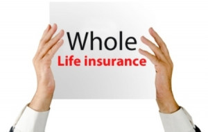 free whole life insurance quote