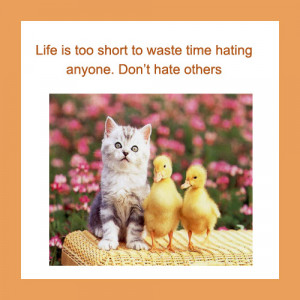 ... to Waste Time Hating Anyone. Don’t Hate Others ~ Happiness Quote