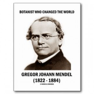 gandhi quotes gandhi quote inspiring life quotes change