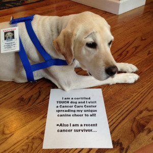 Reverse Dog Shaming Contest: Maddie