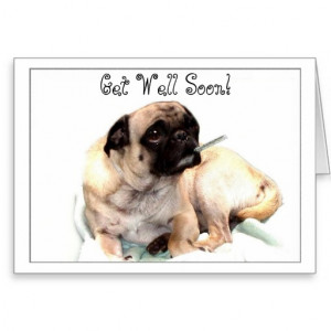 Get Well Soon pug greeting card