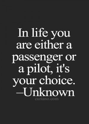 Passenger Or A Pilot - The Daily Quotes