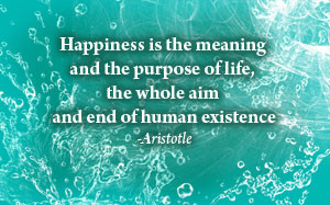 Happiness Is The Meaning And The Purpose Of Life, The Whole Aim