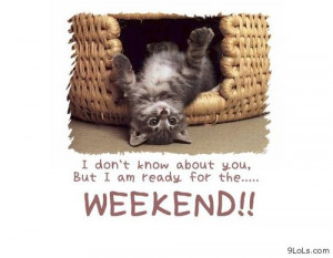 Happy weekend - Funny Pictures, Funny Quotes, Funny Videos - 9LoLs.com