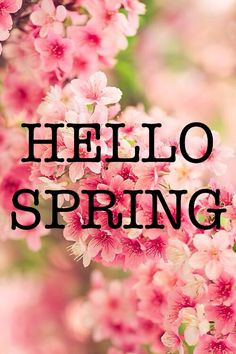 hello spring more hello spring spring flowers spring time spring image ...