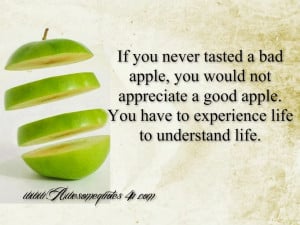 If you never tasted a bad apple, you would not appreciate a good apple ...