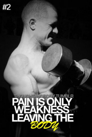 gym #fitness #training #Motivation #weights #lifting #bodybuilding