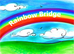 Dog Death Quotes Rainbow Bridge Rainbowbridge.jpg