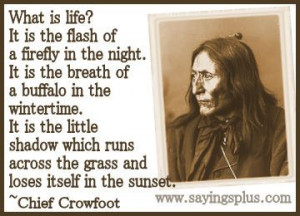 22 Famous Native American Quotes