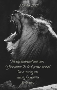 ... lion looking for someone to devour. 1 Peter 5:8 |Pinned from PinTo for