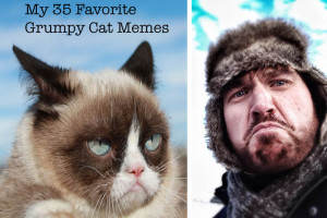 My 35 Favorite Grumpy Cat Memes