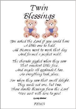 Twins Blessings Poem