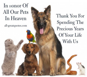 Memorial Quotes For Death Pets