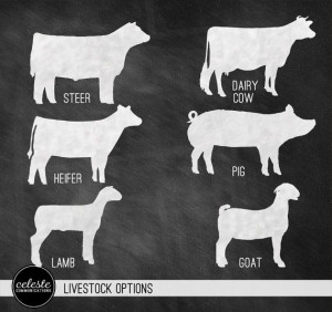 Livestock Show Chalkboard Inspired Metal Sign Wall by CelesteComm, $30 ...