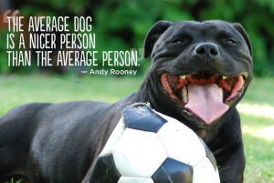 People love their four-legged pets. This is pet quotes collection by ...