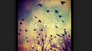 ... be free” of all these quotes with fancy filters. Source: Instagram