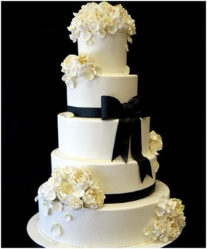 Funny Quotes Contact Us DMCA Notice