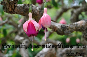 flower picture quote about gentleness